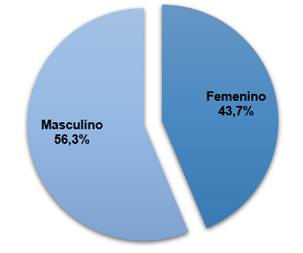 Gráfico que muestra la distribución de los casos formalizados por Género del deudor.
